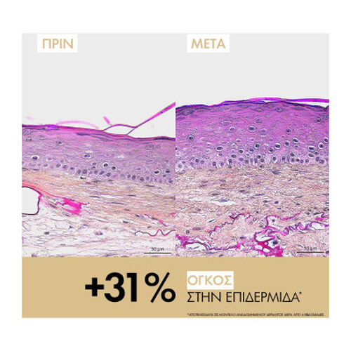 Neovadiol Longevity &Omicron;&rho;ό&sigmaf; &Alpha;&nu;&alpha;&delta;ό&mu;&eta;&sigma;&eta;&sigmaf; - Neovadiol | LDBPartnerShop